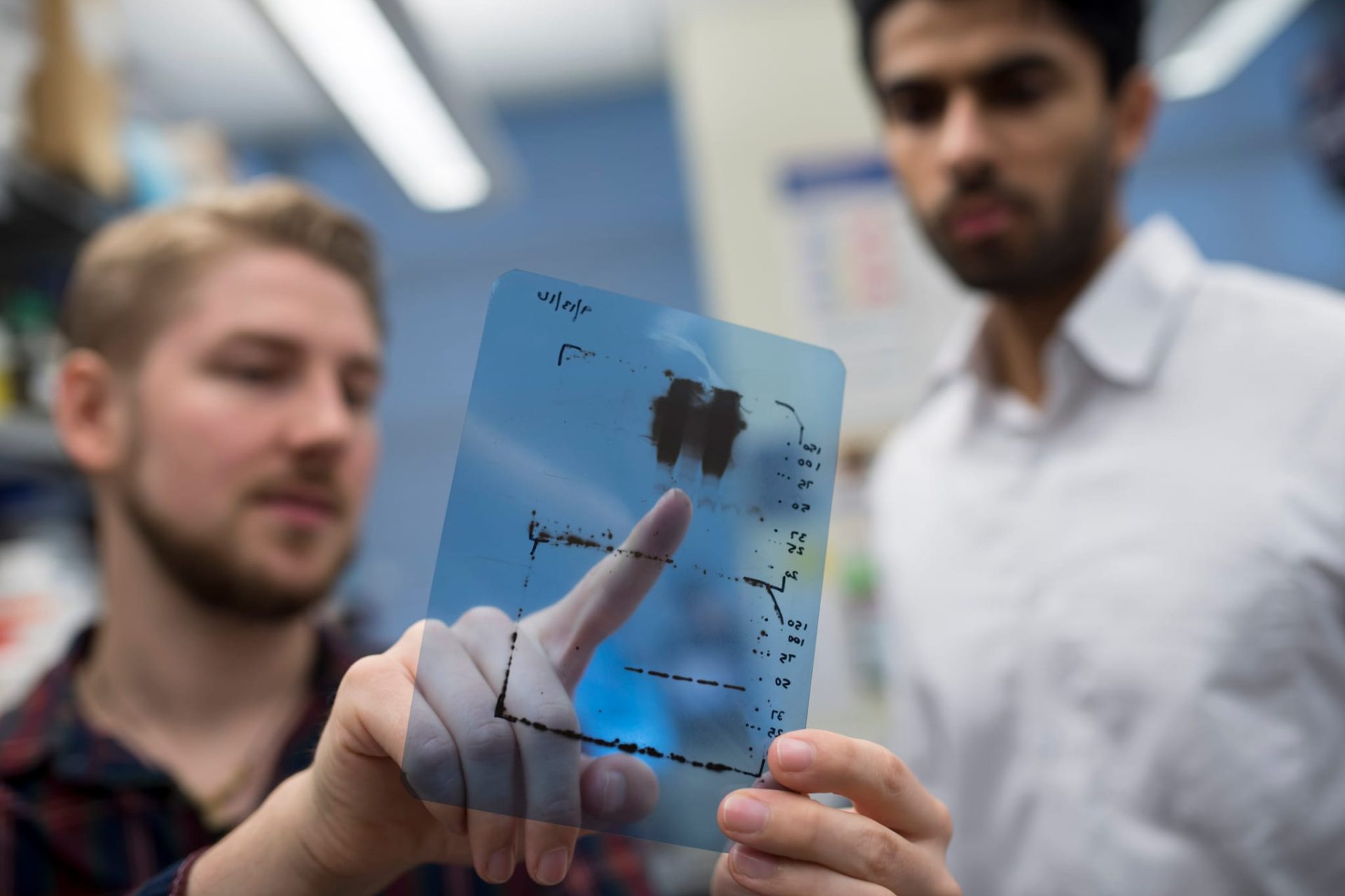 Two young scientists examine a clear sheet with unclear markings.